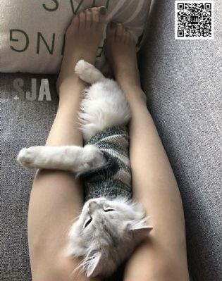 凡人修仙传动漫完整版免费观看