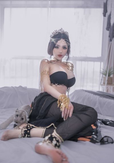 主妇的战争电视剧免费观看全集