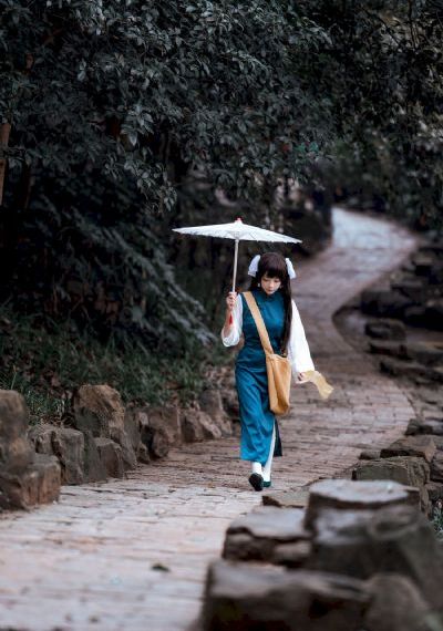 梅花儿香电视剧免费全集
